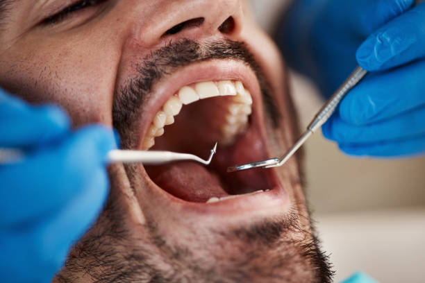 Best Weekend Emergency Dental Services in Green Tree, PA